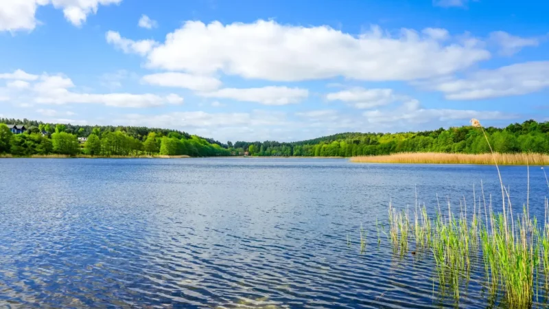 Wisełka_Lake_04