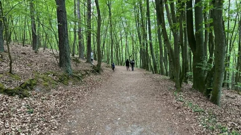Wolin_National_Park_Trails_06