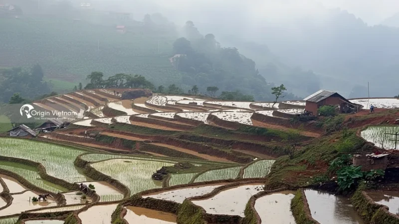 Xa Linh Village – Highland ethnic village(4)