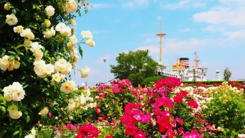 Yamashita Park(1)