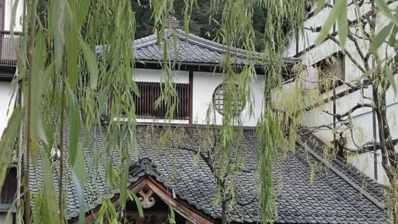 Yanagi-Yu Onsen(1)
