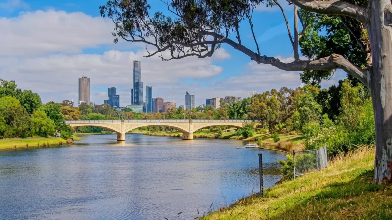 Yarra River Walks – Riverside paths and views(4)