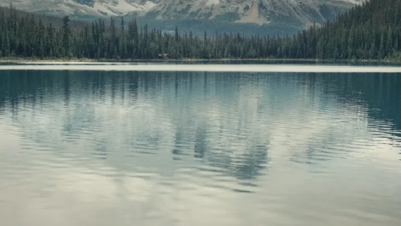 Yoho National Park – Waterfalls & cliffs(4)