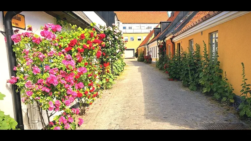 Ystad Old Town – Cobblestone streets & half-timbered houses(1)