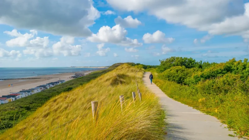 Zeeland_Dunes_National_Park_01