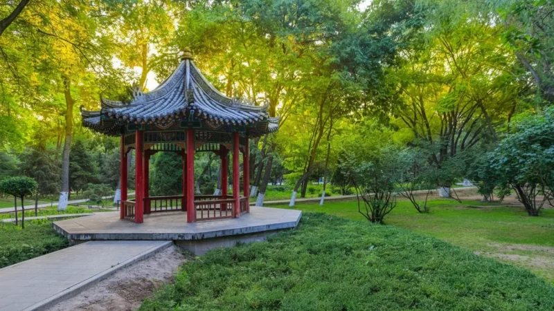 Zhongshan Park(1)