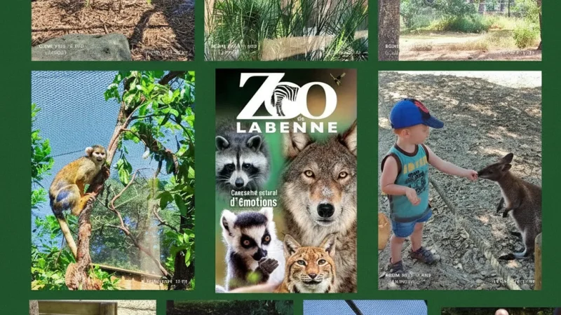 Zoo de Labenne – Family-friendly wildlife park(4)