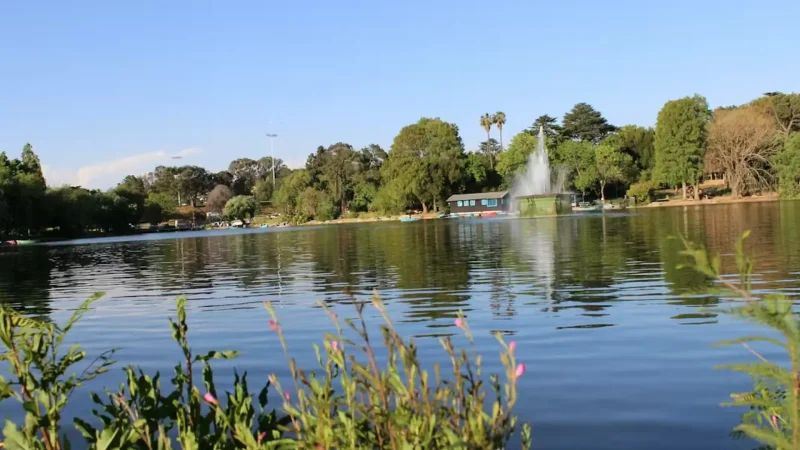 Zoo_Lake_тАУ_Relaxed_walking_area_01
