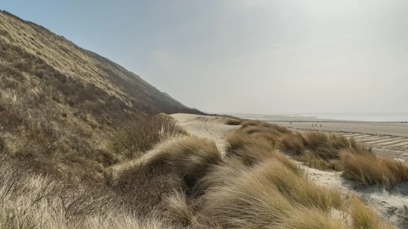 Zoutelande_Dunes_Trail_04