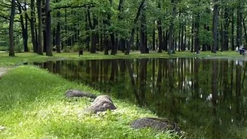 Źródliska_Park_05