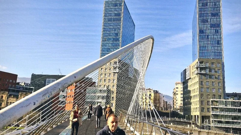 Zubizuri Bridge(2)