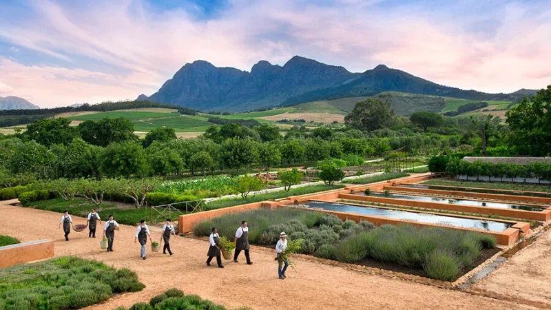 babylonstoren-chefs-garden