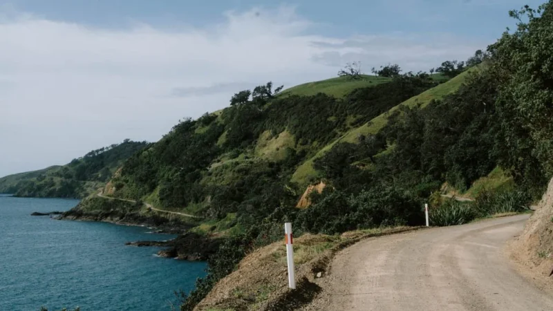 coromandel-coast-road