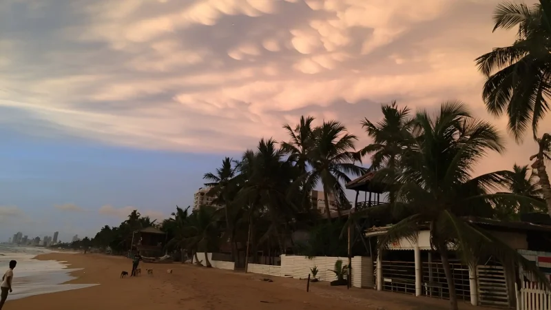 mount-lavinia-beach-nothing