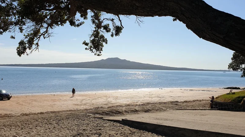 rangitoto-from-narrow-neck-beach-v0-5am15cen2fn81