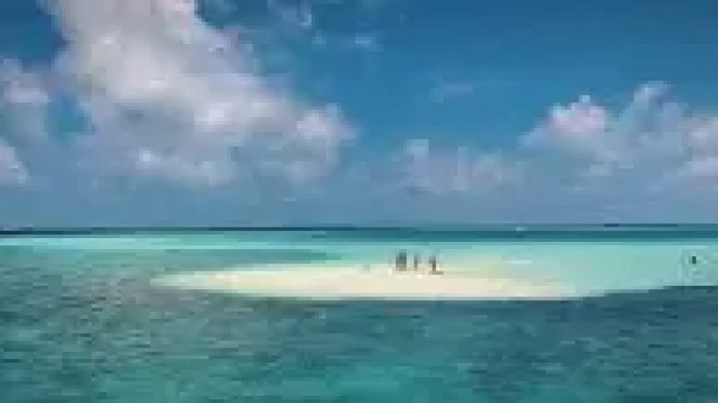 sandbank(5)