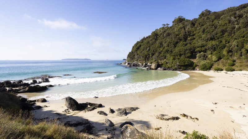 stewart-island-beach-village-and-bays-tour