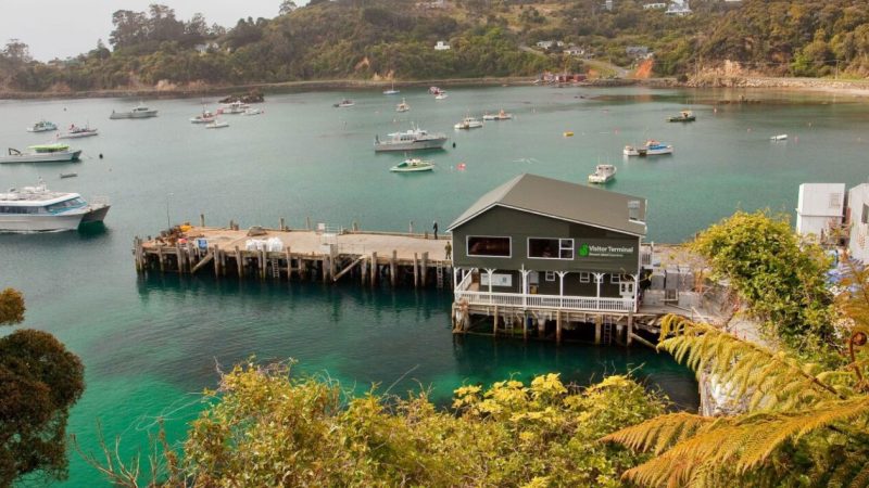 stewart-island-ferries-min