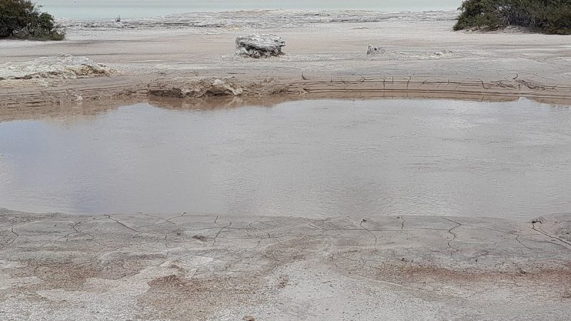sulphur-point