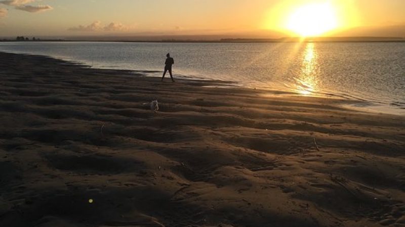 tahunanui-back-beach