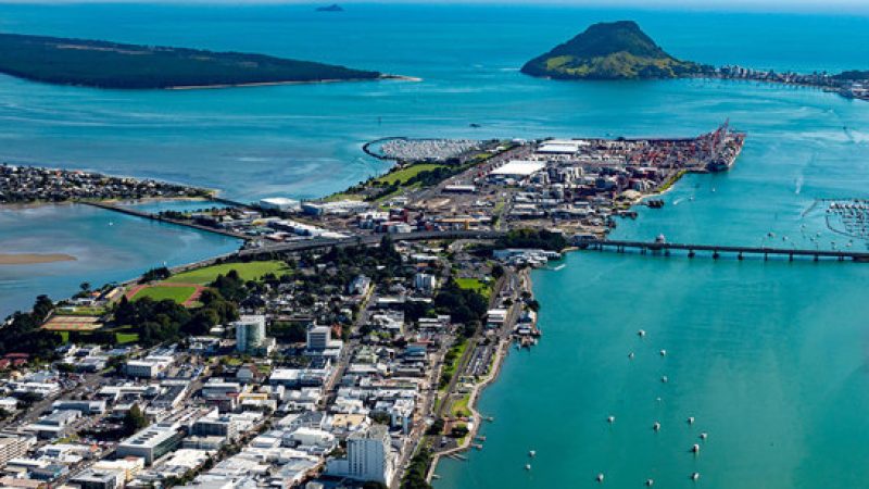 tauranga-mt-1500