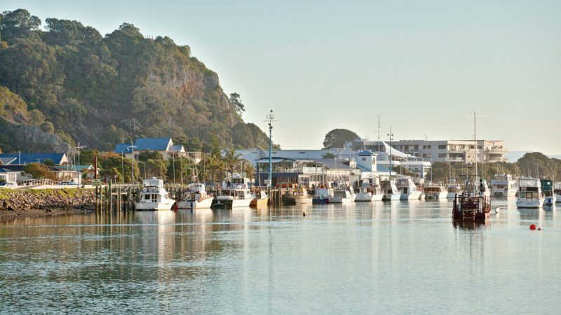 whakatane-wharf-bay-of-plenty-new-zealand