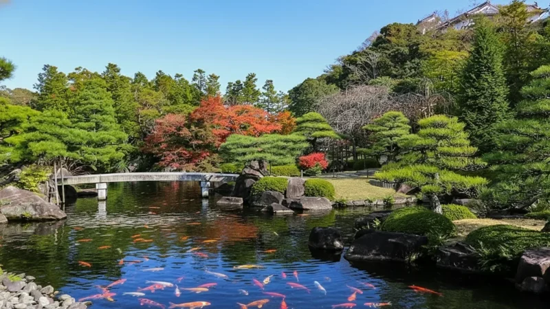 🌿 Koko-en Garden(2)